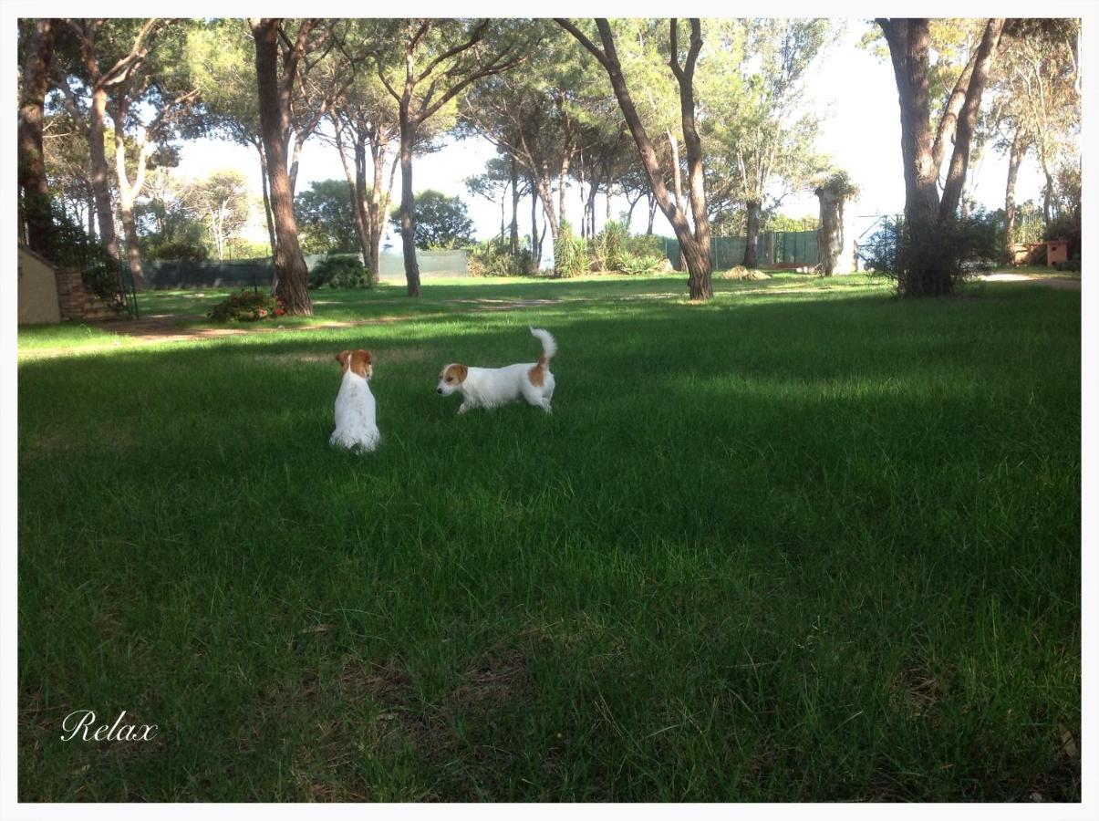 Baia Delle Palme Beach Santa Margherita di Pula Bagian luar foto